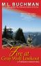 [Firehawks 08] • Fire at Gray Wolf Lookout